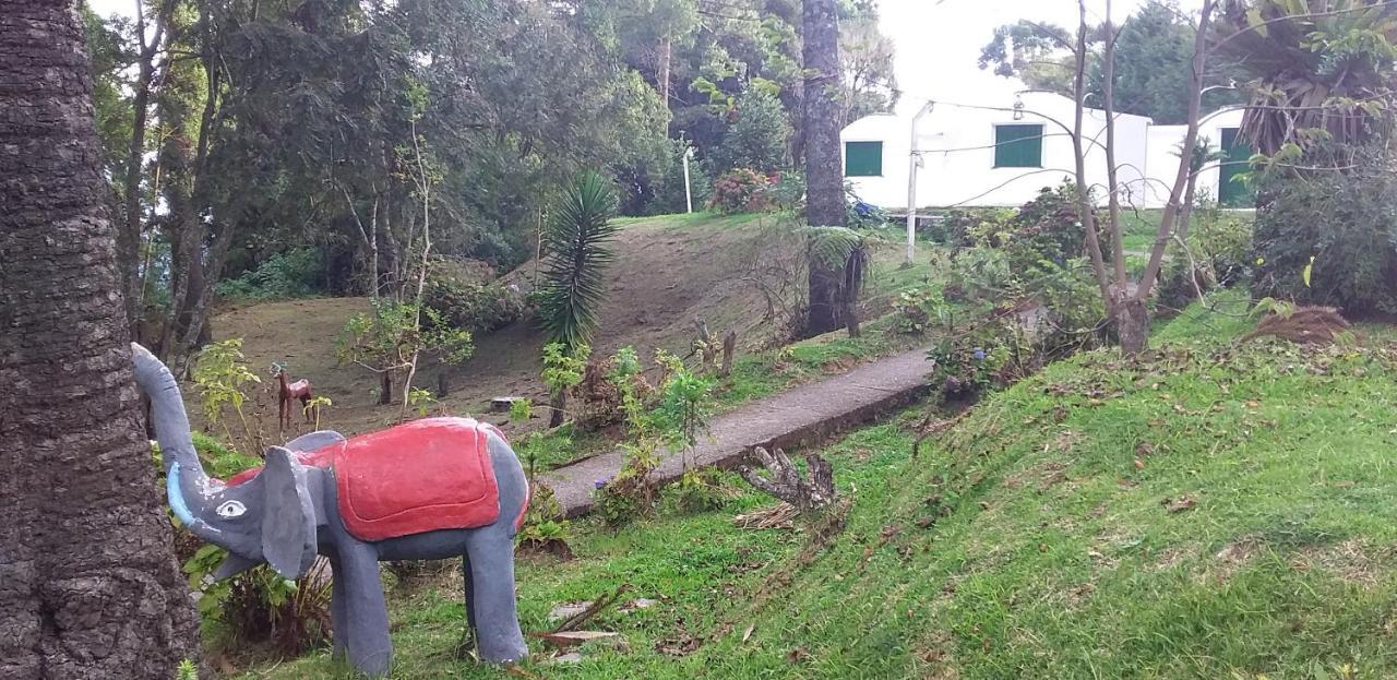 Campos do Jordão Pousada Igloo מראה חיצוני תמונה